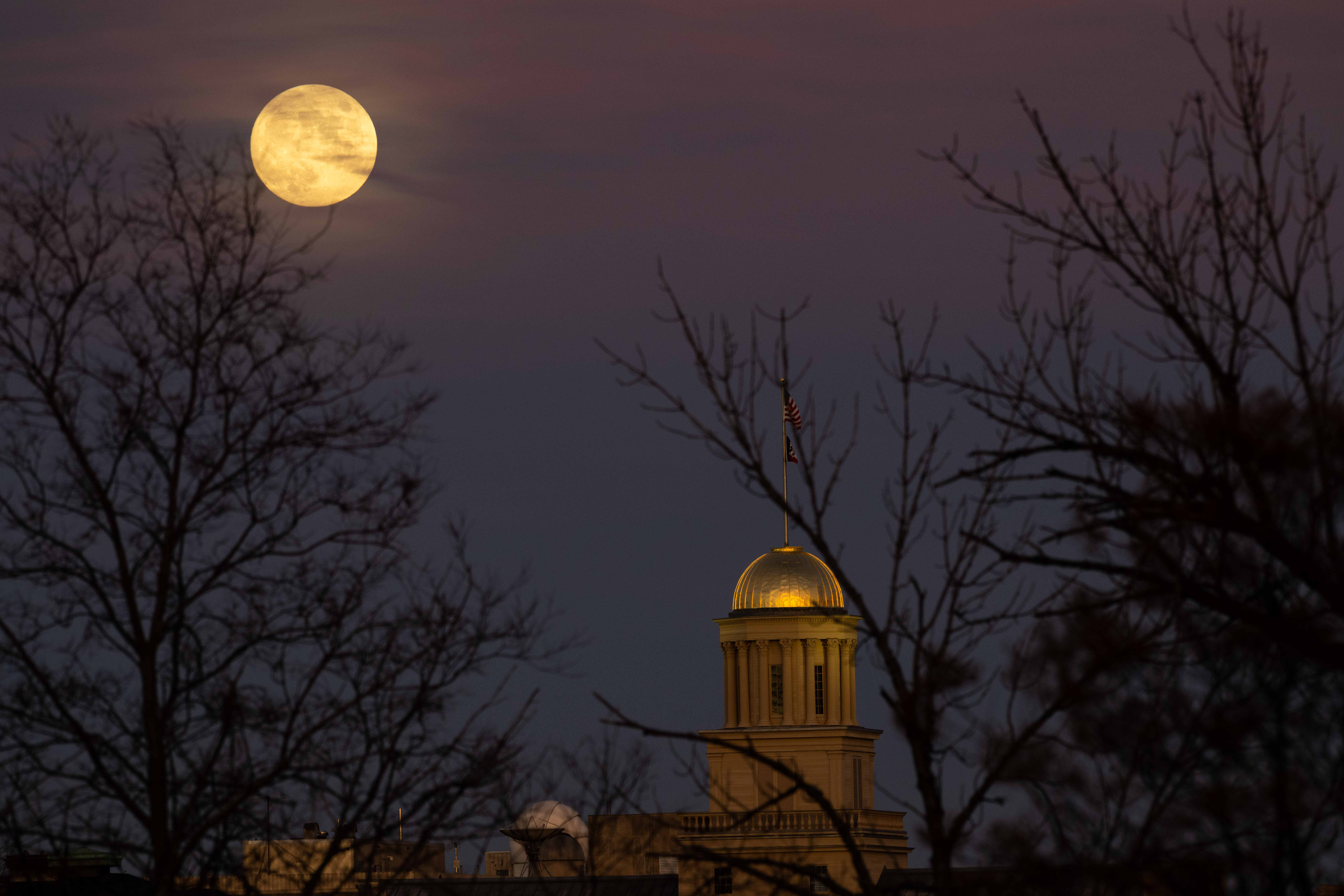 Spooky Night @ The Museum, a photo of the Old Capitol between empty branches with a purple night sky and a fill moon.