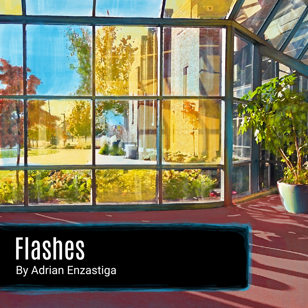 Flashes by Adrian Enzastiga