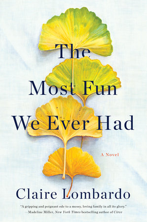 The Most Fun We Ever Had book cover