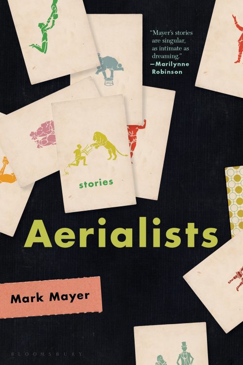 The Aerialists book cover