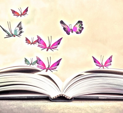 open book with butterflies fluttering above it