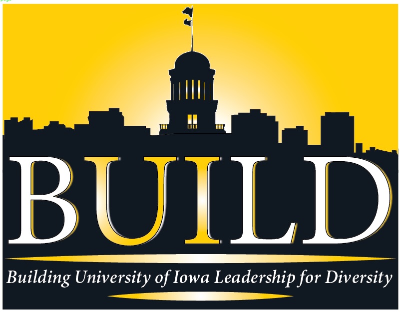 BUILD: Beyond the Numbers - Foundations for Diversity, Equity, & Inclusion (for UI Health Care) promotional image