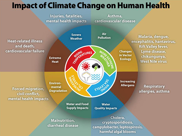 CDC graphic illustrating the impact of climate change on human health