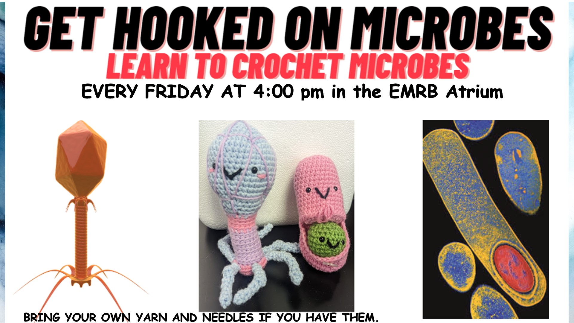 Crochet Microbes on Fridays 