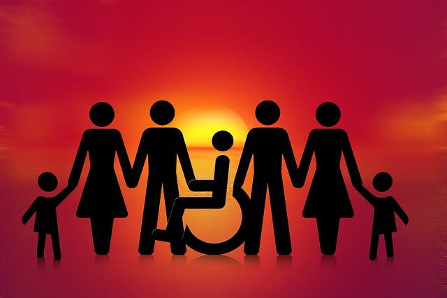 Disability Summit Image