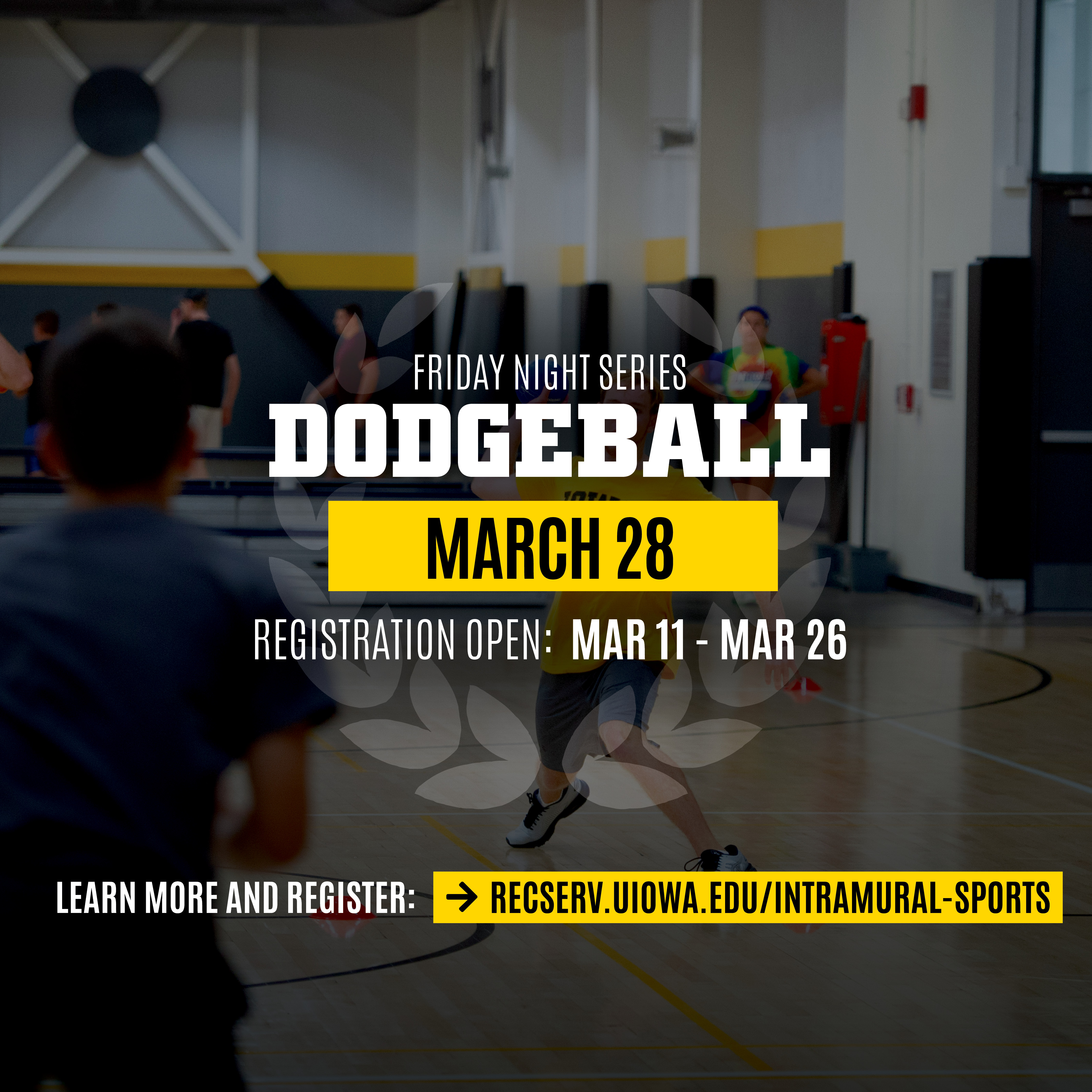 Dodgeball Registration