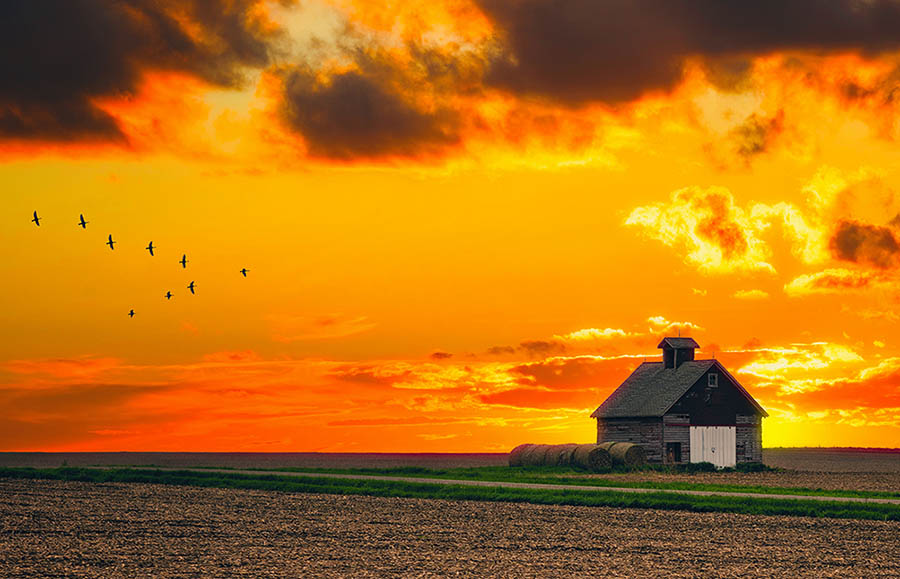 Mental Health and Suicide Risk in Midwest Agricultural Communities promotional image