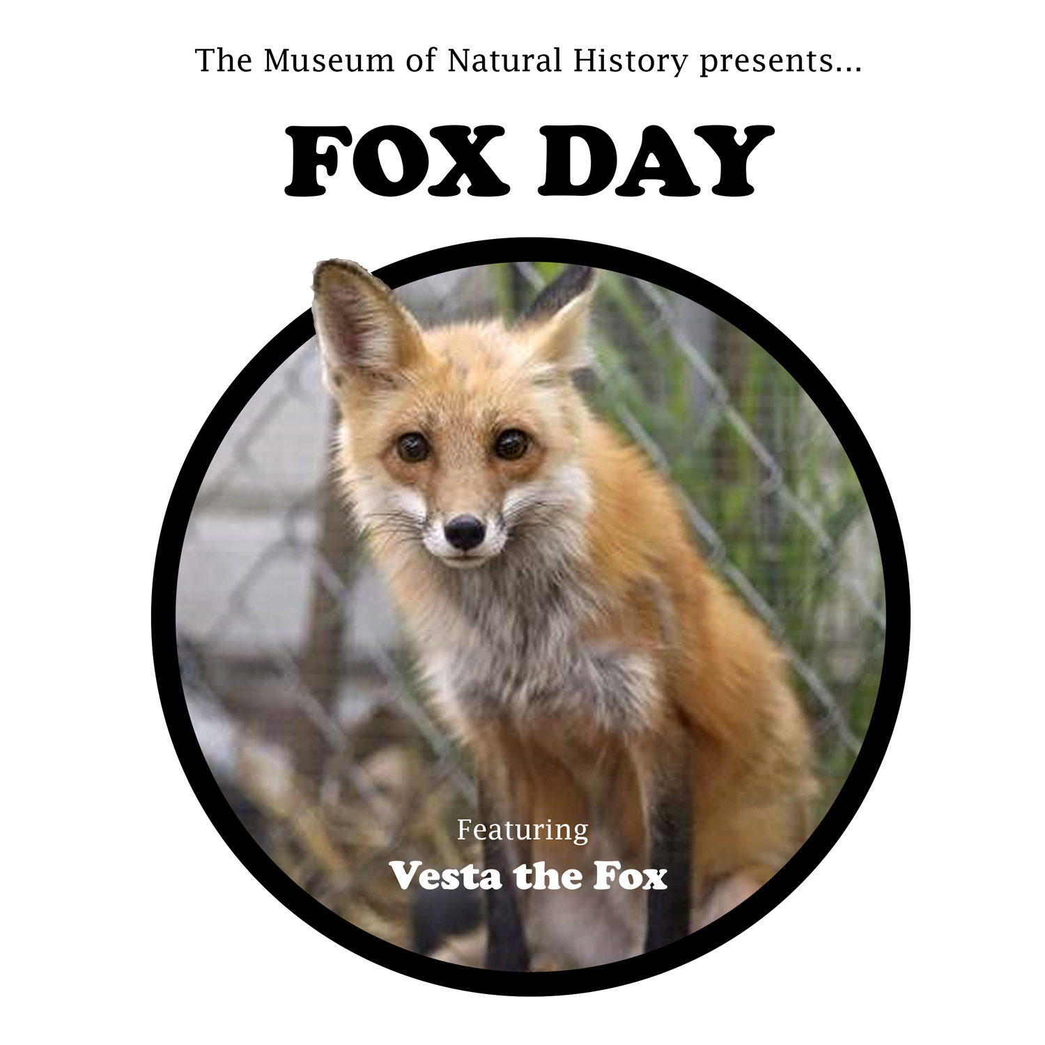 Fox Day