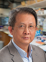 Frontiers in Obesity, Diabetes and Metabolism:  Gen-Sheng Feng, PhD promotional image