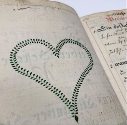 leafy heart drawn in a book