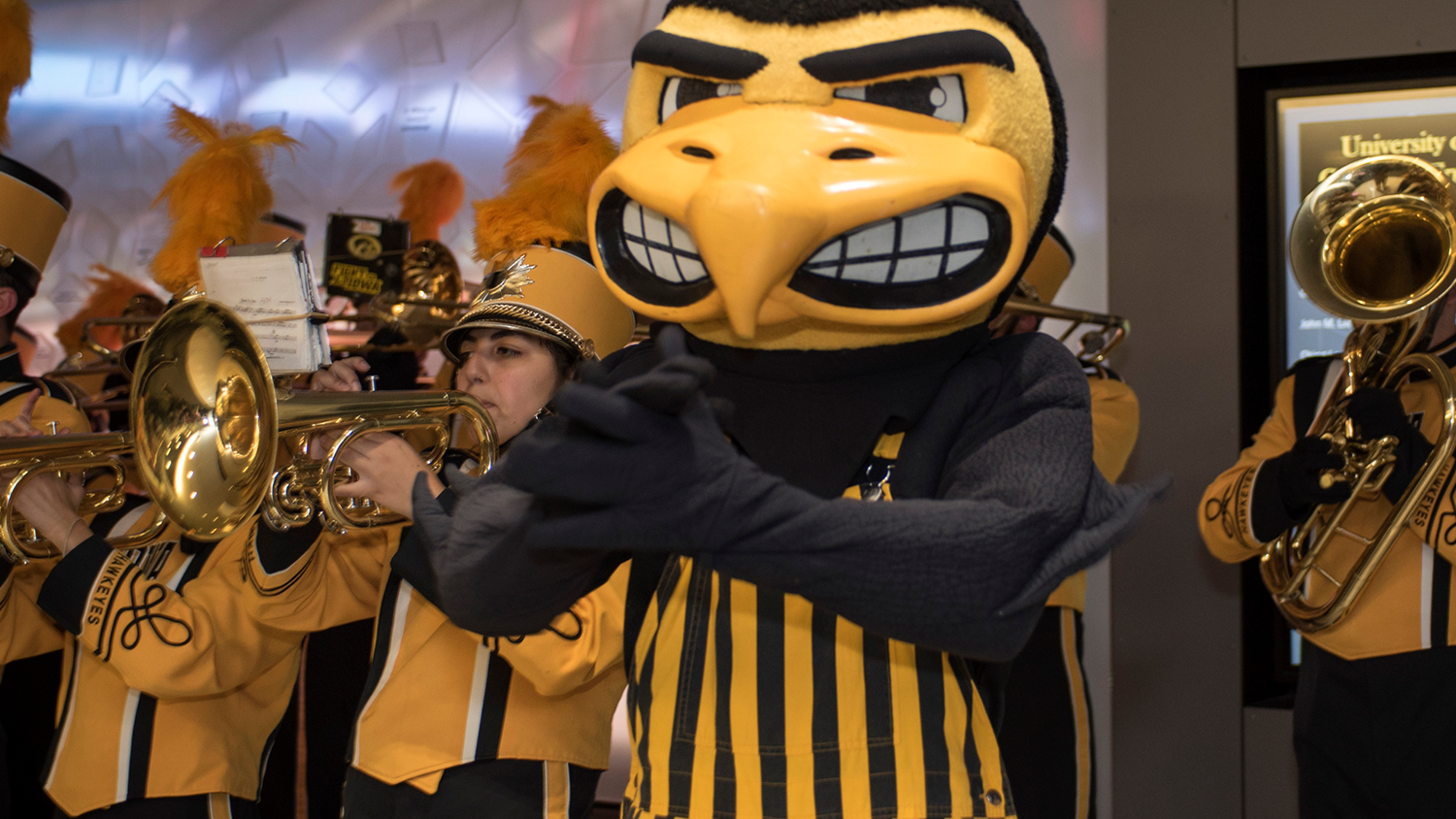 Herky and Marching Band