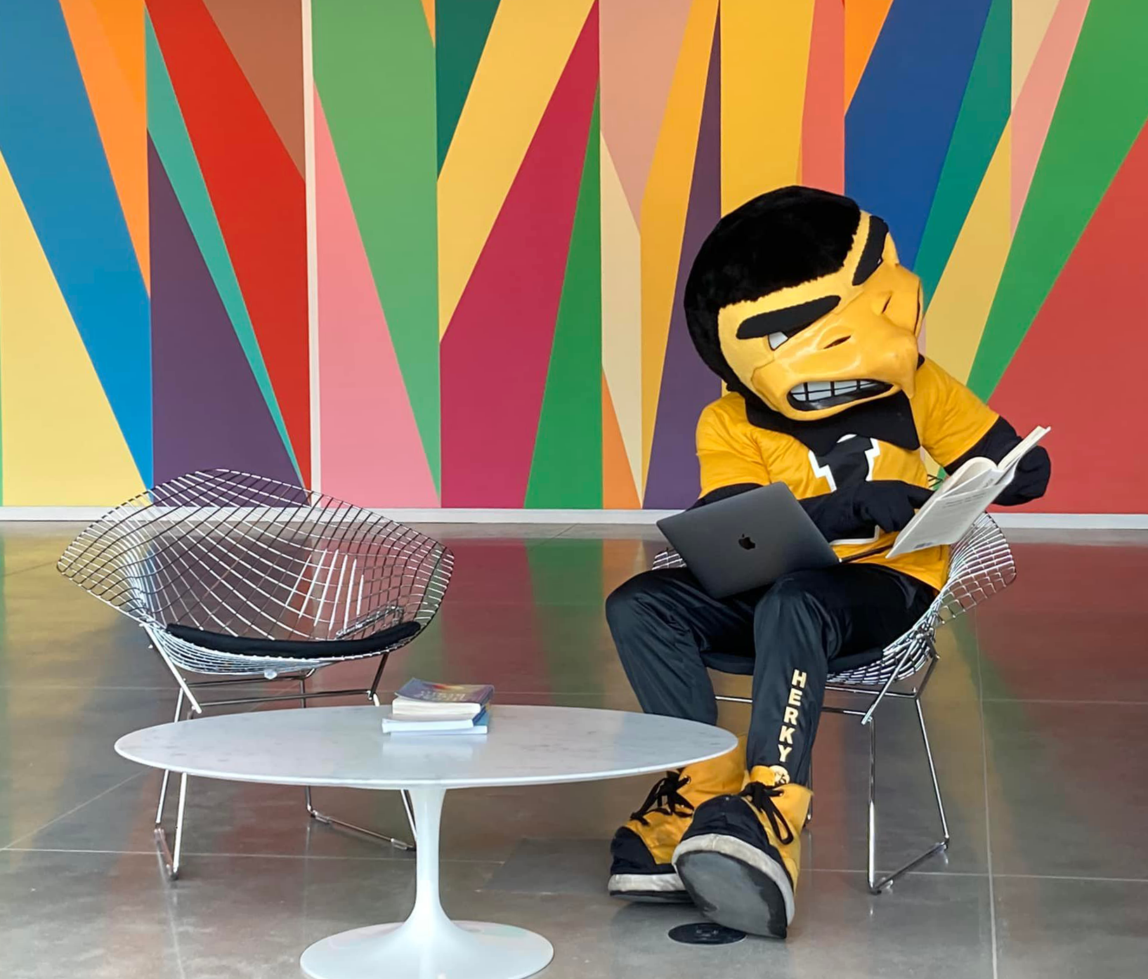 Herky, the University of Iowa mascot, sits in one of the chairs in the Stanley Museum of Art lobby. He is studying, with a computer on his lap and a book in his hands.