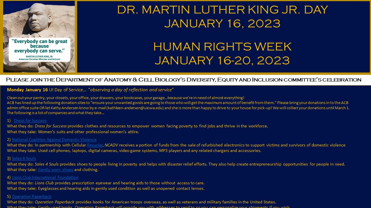 Human Rights Week promotional image