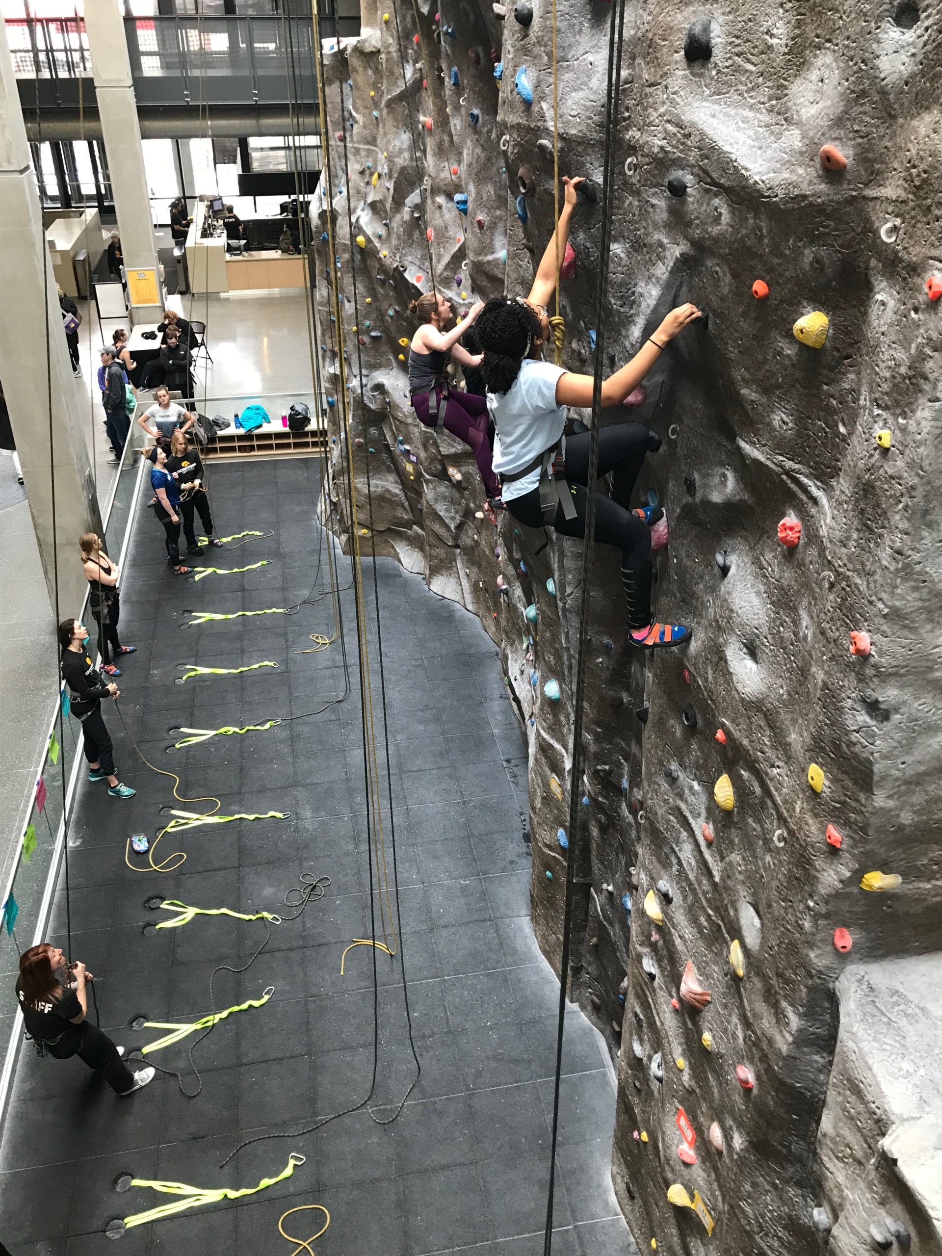 Women climbing on the climbing wall