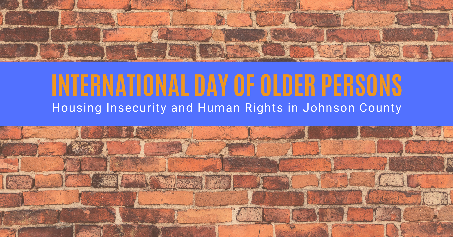 blue text in front of a brick wall image: international day of older persons