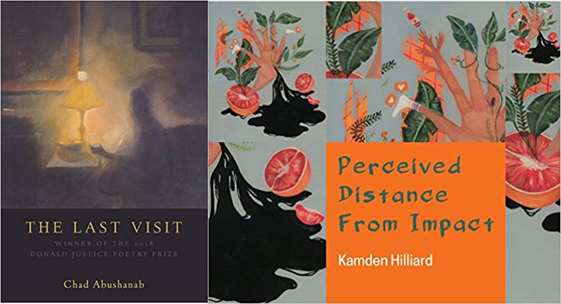 Last Visit and Perceived Distance from Impact book covers