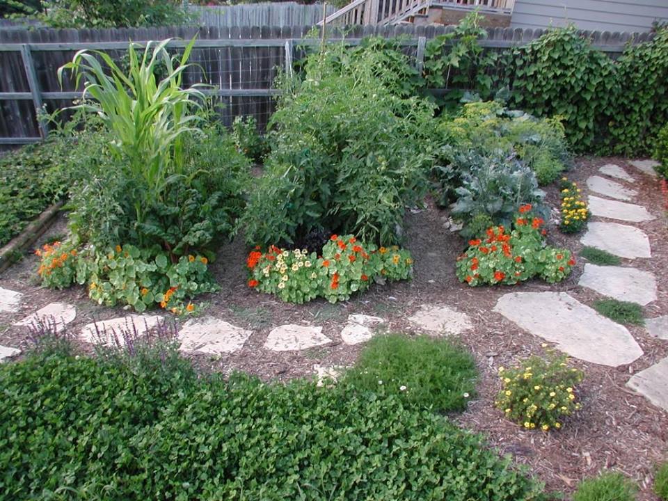 Low-Maintenance Vegetable Gardening