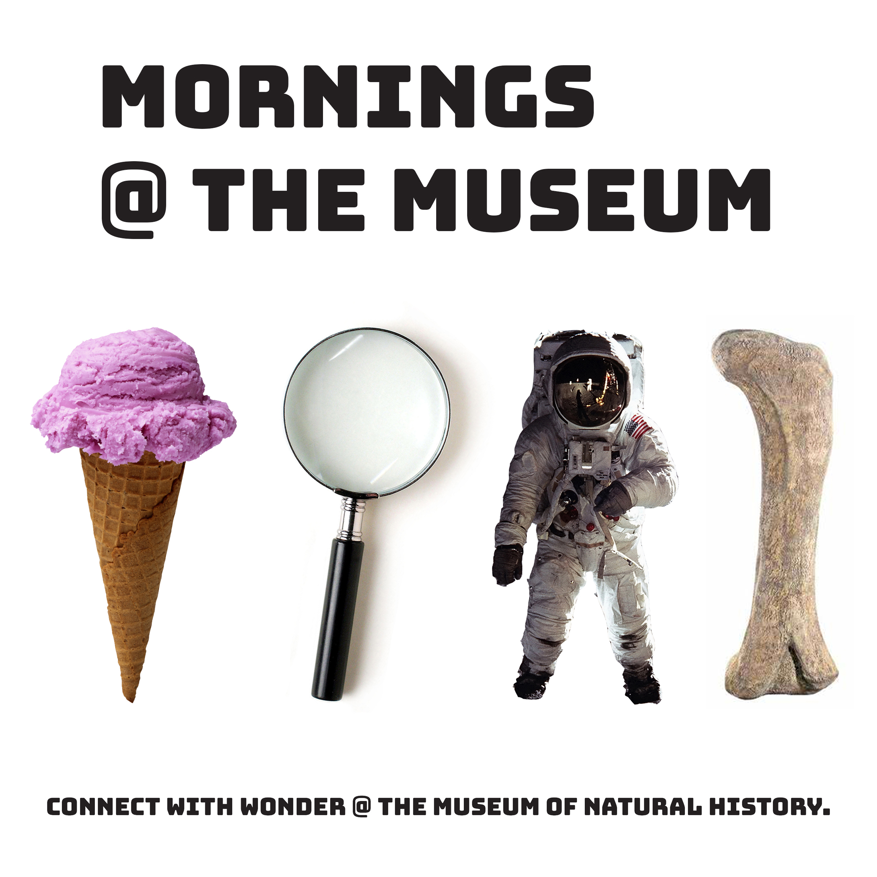 Mornings @ The Museum promotional image