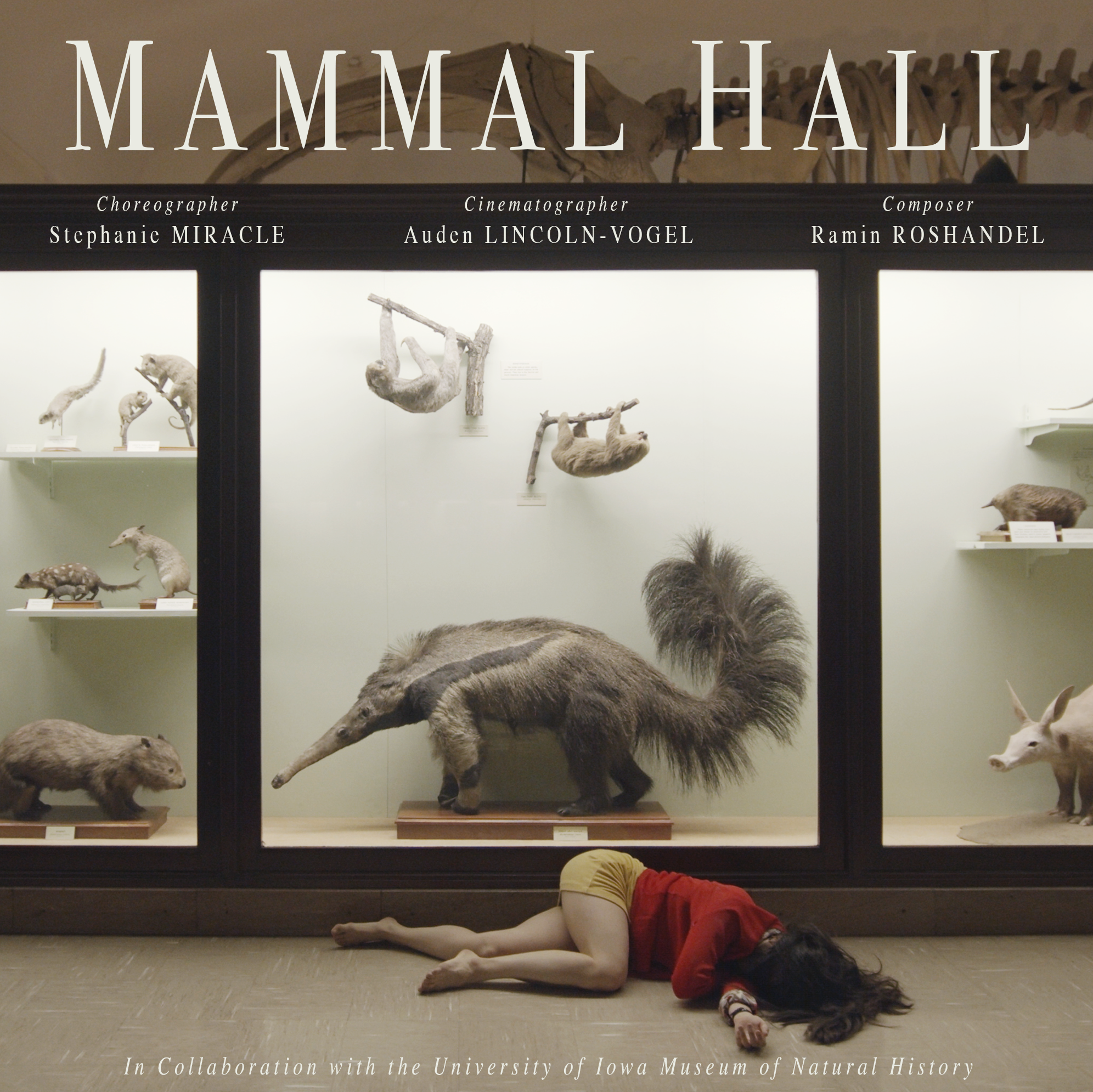 Still shot from film in Mammal Hall at UIMNH