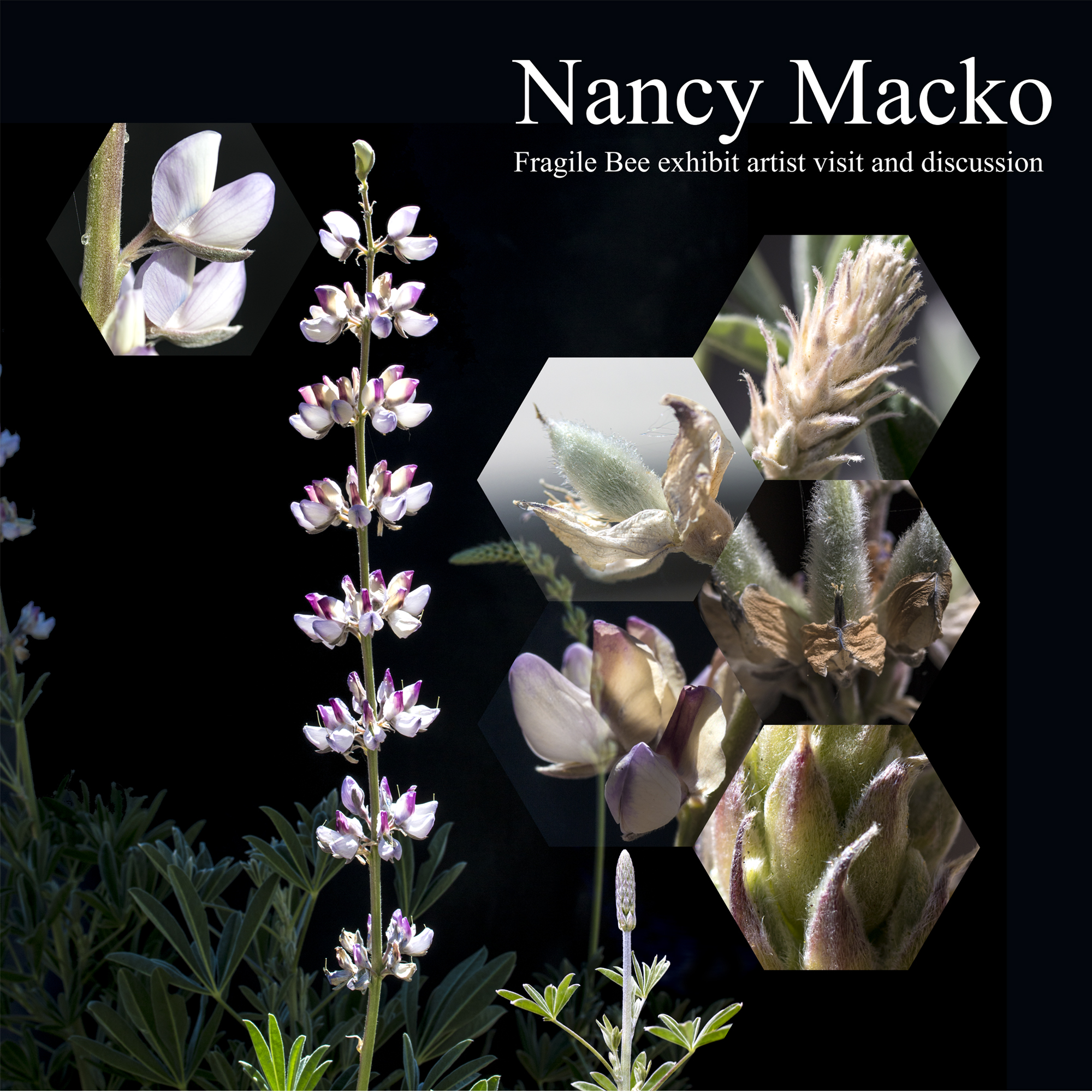 Nancy Macko