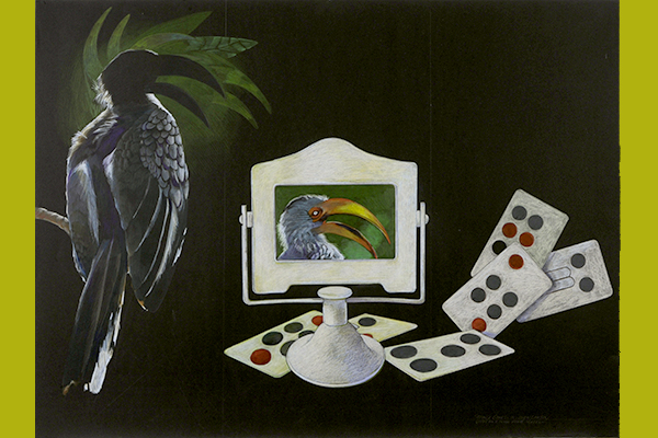Image of a toucan in shadow against a palm plant on the left, and the toucan's head in a picture frame or mirror on a stand in the center. The frame is surrounded by abstract playing cards.