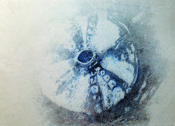 Pulp Print of Sea Urchin