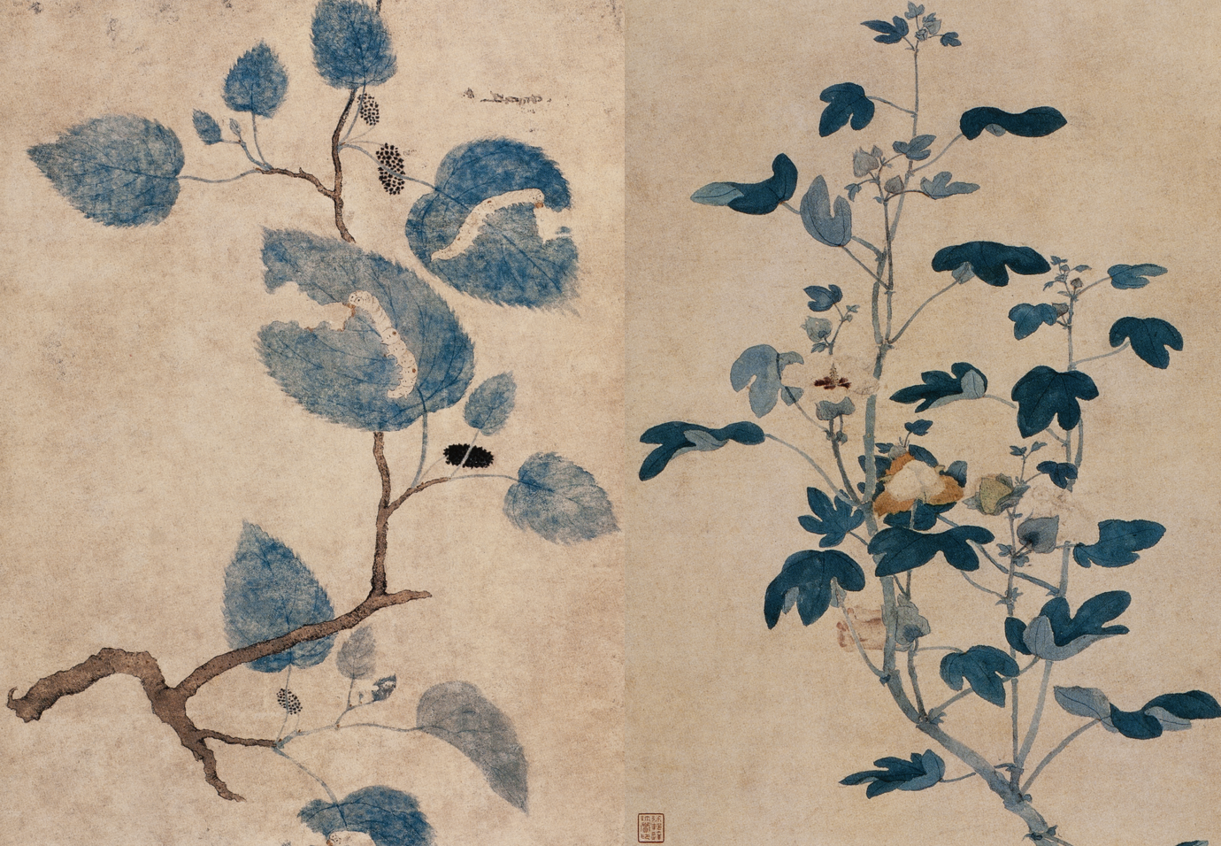 Pair of Fifteenth-Century Chinese Paintings Depicting Gossypium and Mulberry