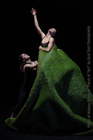 Photo of Nimbus Dance in "Patch of Turf" by Acid Test Photography