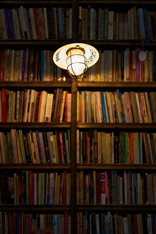 Bookshelves lit by hanging light