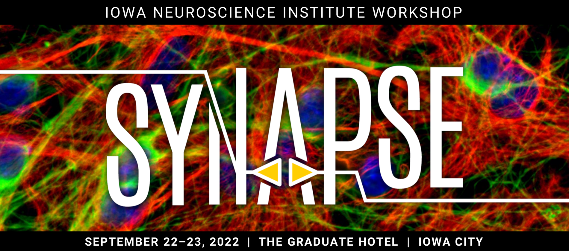 INI Synapse Workshop promotional image