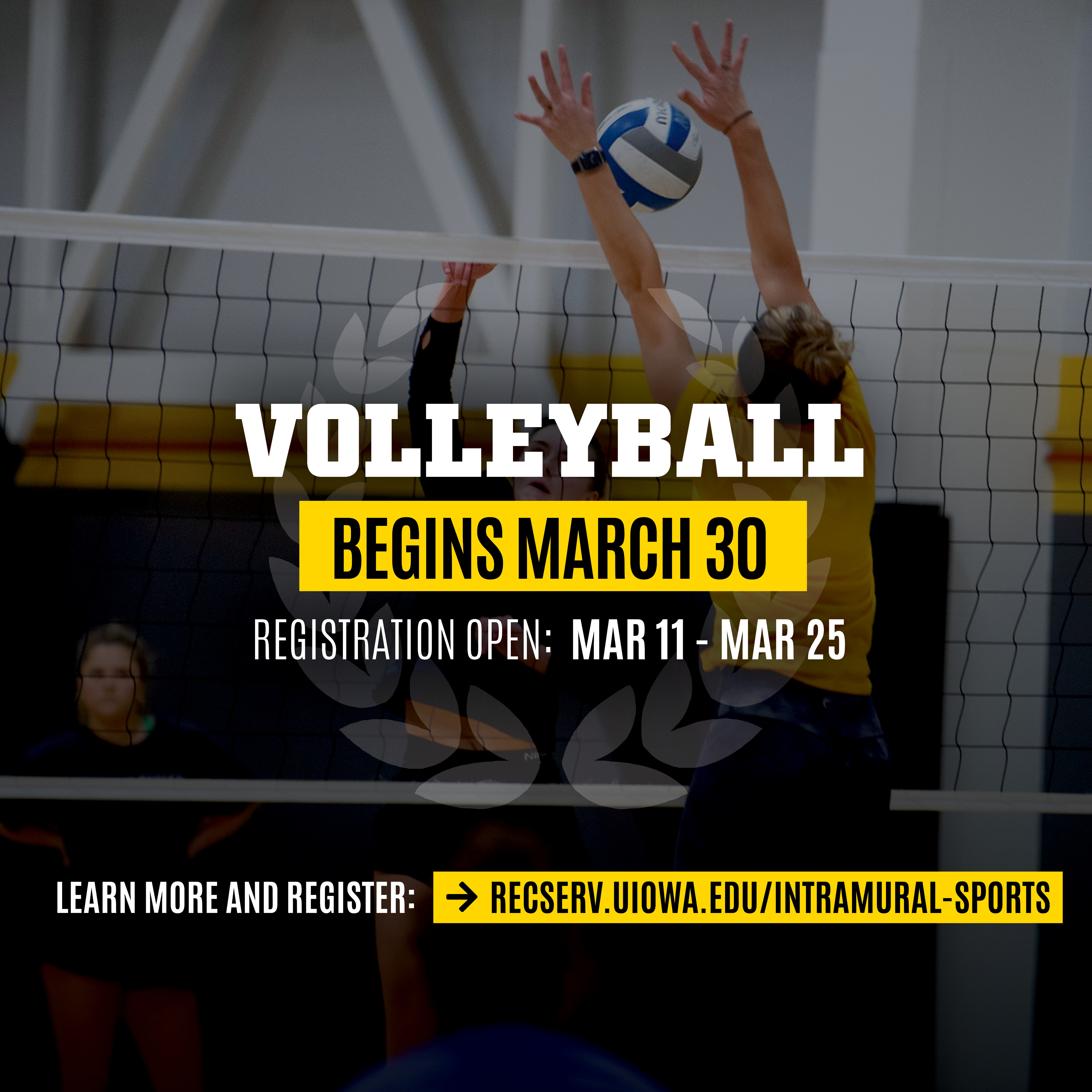 Volleyball Registration