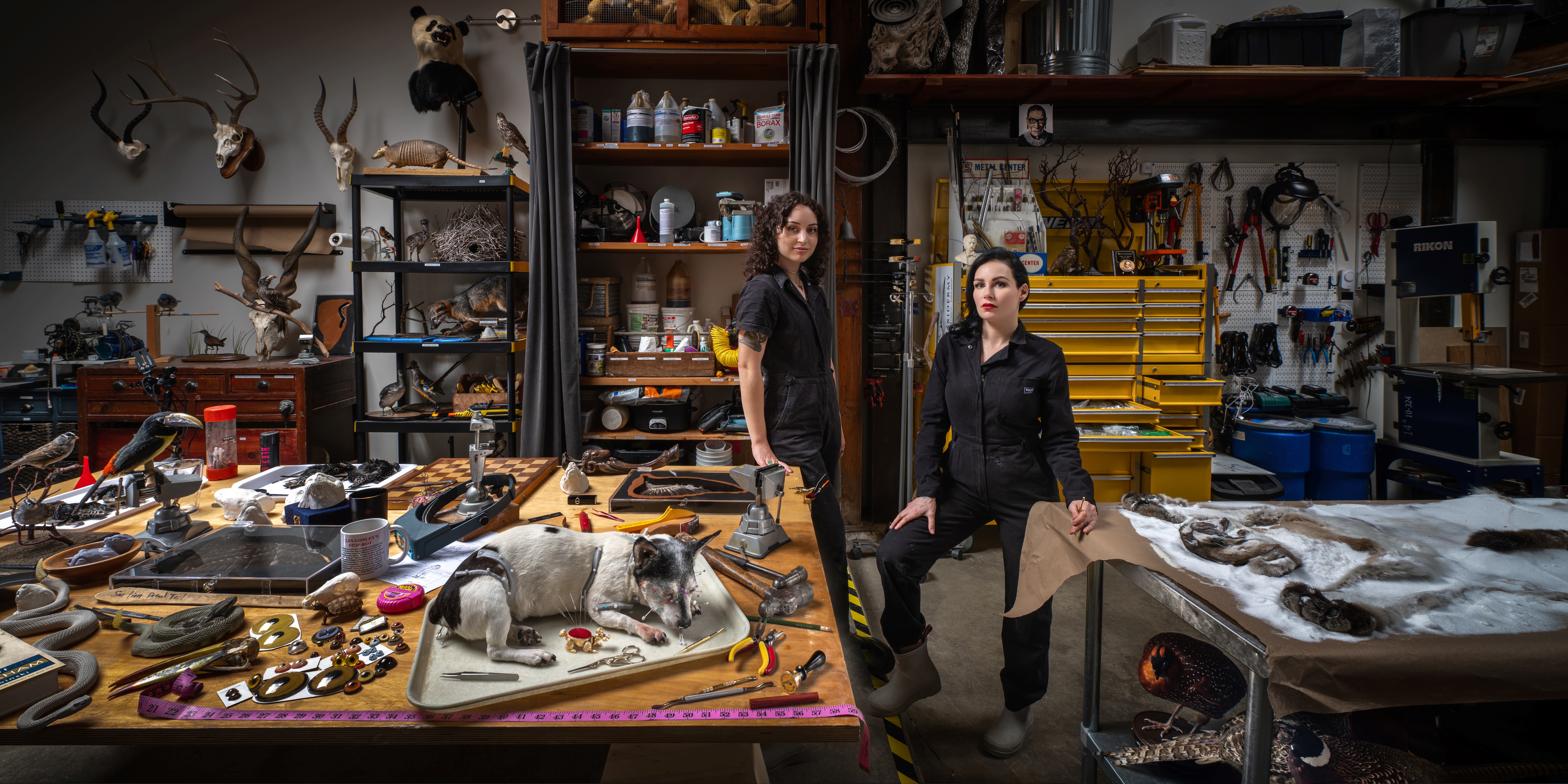 Allis and Paloma of Prey Taxidermy in studio