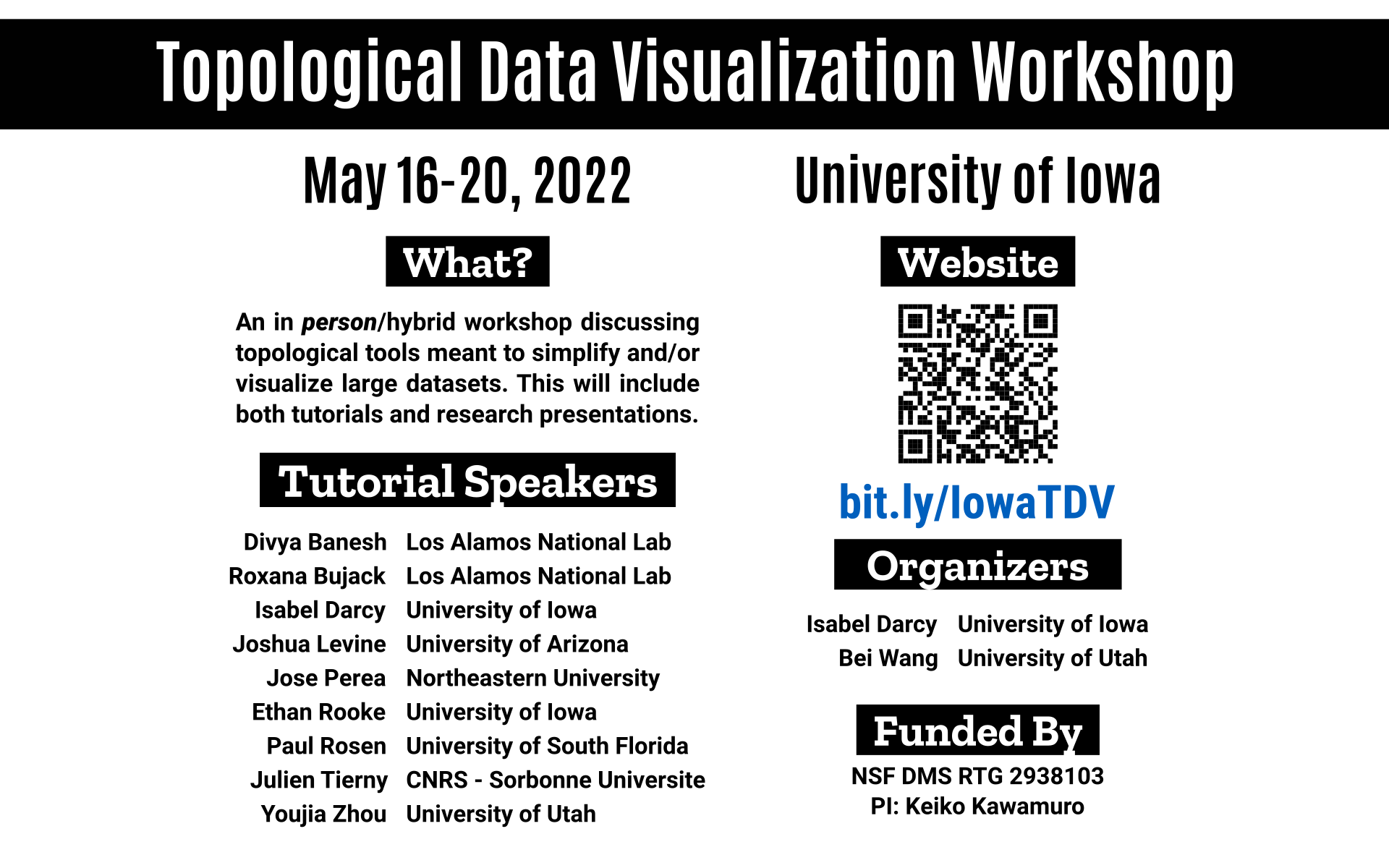 Topological Data Visualization Workshop promotional image